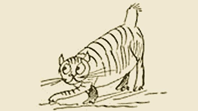 Edward Lear's Cat Foss