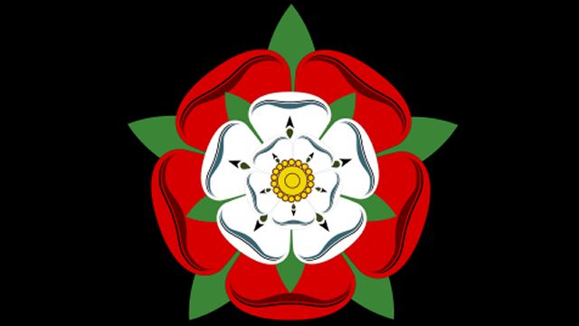 A Tudor Rose