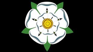 White Rose Of York