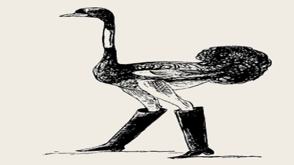 The Obsequious Ornamental Ostrich