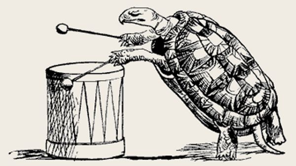 The Tumultuous Tom-tommy Tortoise