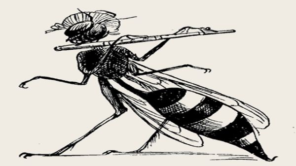 The Worrying Whizzing Wasp