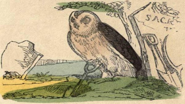 Owl Digging Cock Robin's Grave